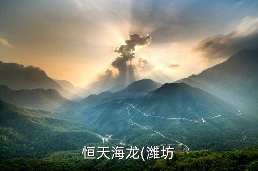 恒天海龍(濰坊