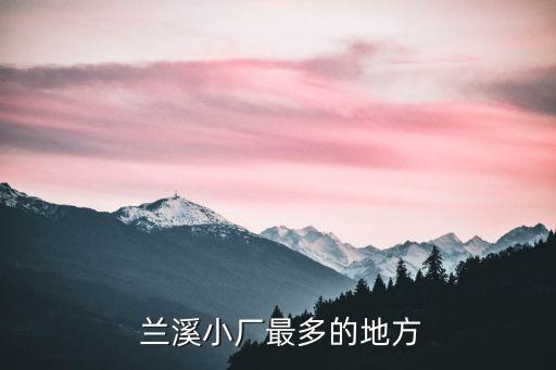  蘭溪小廠最多的地方