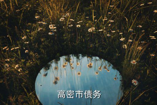  高密市債務(wù)