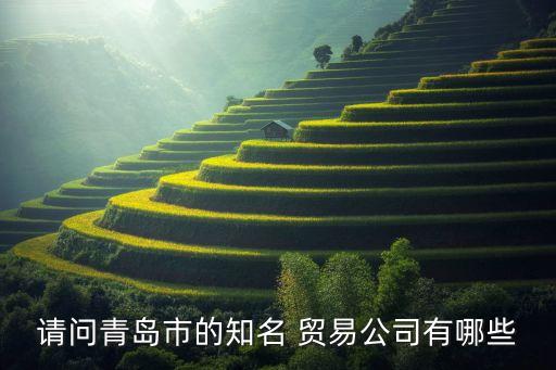 請(qǐng)問青島市的知名 貿(mào)易公司有哪些