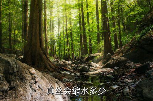 真絲會(huì)縮水多少