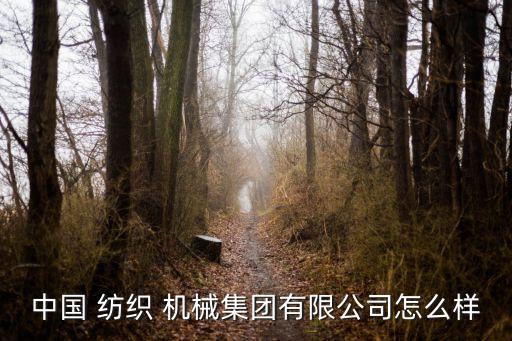 中國 紡織 機械集團有限公司怎么樣