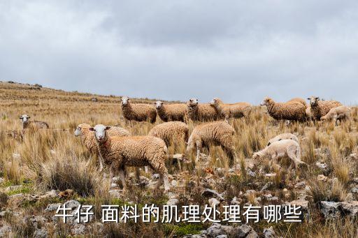 牛仔 面料的肌理處理有哪些