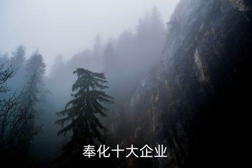 奉化十大企業(yè)