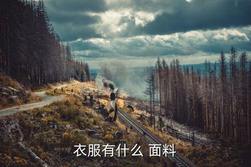 衣服有什么 面料