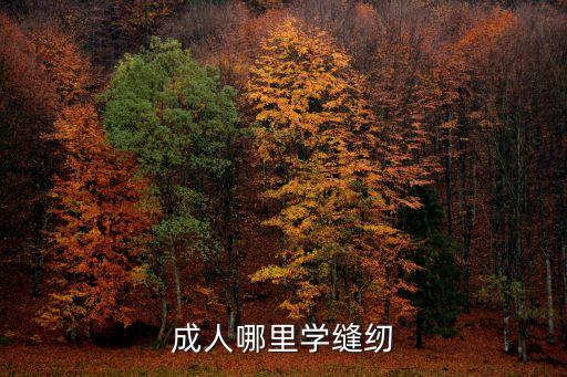 成人哪里學(xué)縫紉
