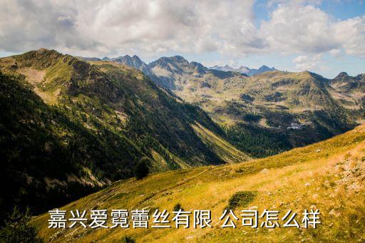 嘉興紡織公司那家好,嘉興金佰利紡織公司