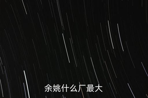 余姚什么廠最大
