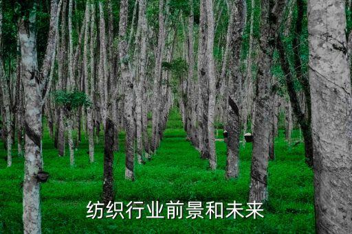 紡織行業(yè)前景和未來