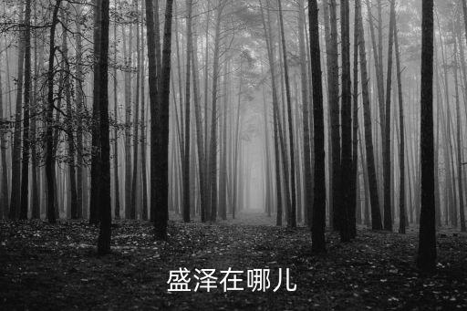 盛澤在哪兒