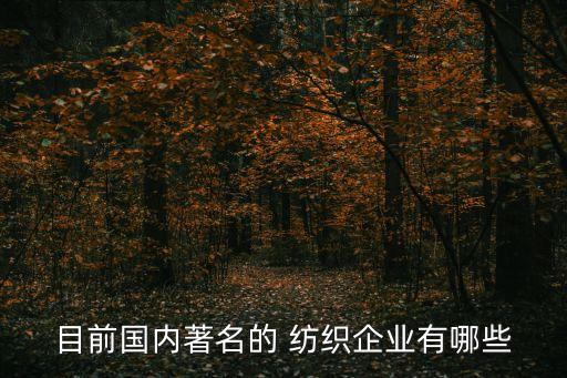 目前國內(nèi)著名的 紡織企業(yè)有哪些