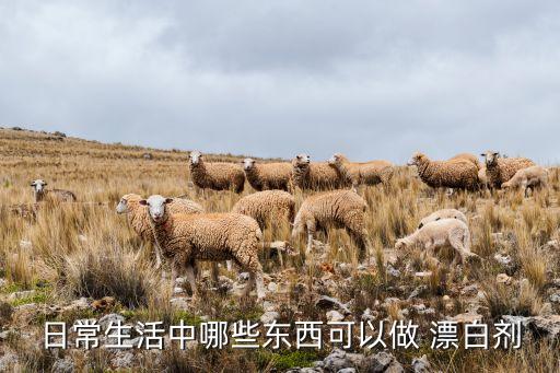 日常生活中哪些東西可以做 漂白劑