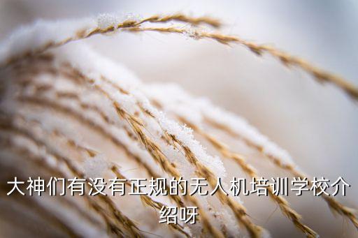 大神們有沒有正規(guī)的無人機培訓學校介紹呀