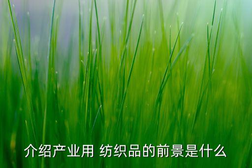 介紹產(chǎn)業(yè)用 紡織品的前景是什么