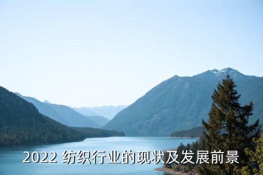 2022 紡織行業(yè)的現(xiàn)狀及發(fā)展前景