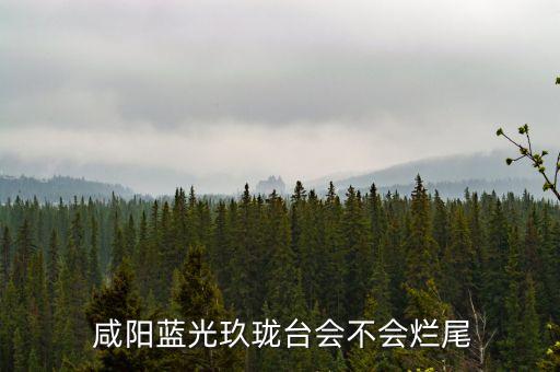 陜西咸陽新興紡織工業(yè)園區(qū),咸陽紡織工業(yè)園區(qū)領(lǐng)導(dǎo)班子
