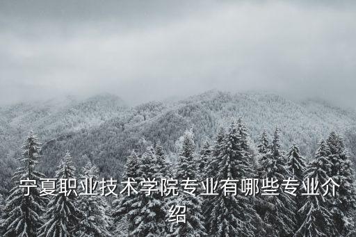  寧夏職業(yè)技術(shù)學(xué)院專業(yè)有哪些專業(yè)介紹