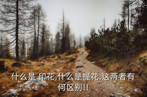 什么是 印花,什么是提花,這兩者有何區(qū)別!!