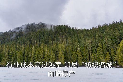 行業(yè)成本高過越南 印尼“紡織名城”面臨停產(chǎn)