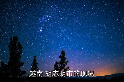 越南 胡志明市的現(xiàn)況