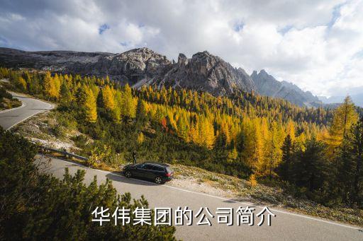  華偉集團的公司簡介