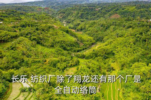  長(zhǎng)樂(lè) 紡織廠除了翔龍還有那個(gè)廠是全自動(dòng)絡(luò)筒