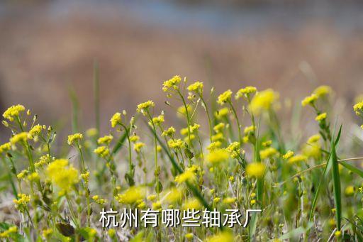 杭州有哪些軸承廠