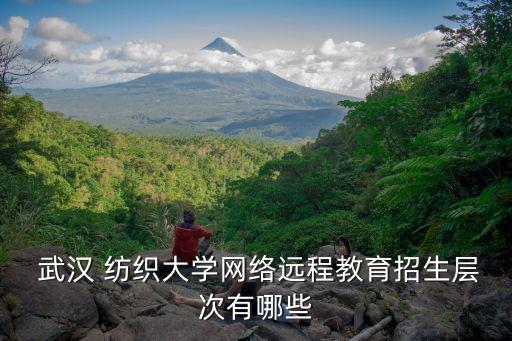  武漢 紡織大學(xué)網(wǎng)絡(luò)遠(yuǎn)程教育招生層次有哪些