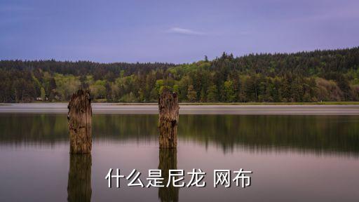 網(wǎng)布面料的特性,網(wǎng)布是什么面料