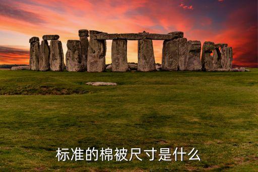 300t全棉面料是多大