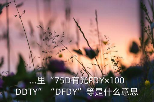 ...里“75D有光FDY×100DDTY”“DFDY”等是什么意思