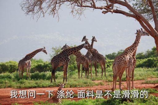 我想問(wèn)一下 滌綸 面料是不是滑滑的