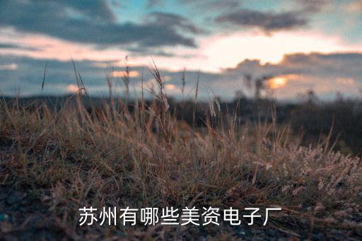 蘇州有哪些美資電子廠