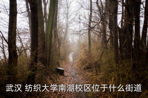 武漢 紡織大學(xué)南湖校區(qū)位于什么街道