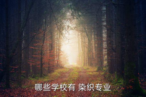 武漢紡織大學染織設計