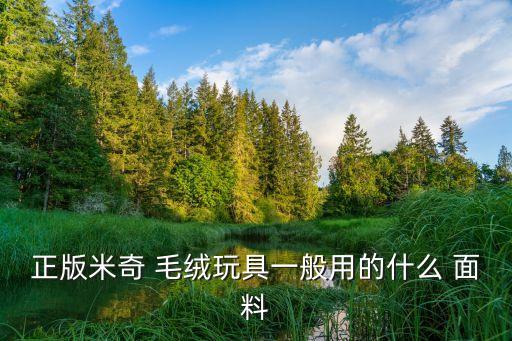 正版米奇 毛絨玩具一般用的什么 面料