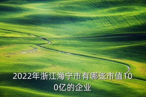 2022年浙江海寧市有哪些市值100億的企業(yè)