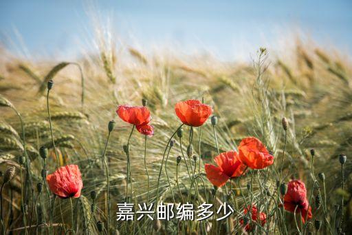 浙江省紹興市南方紡織