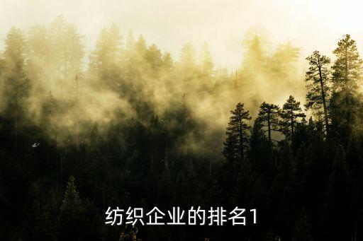 紡織企業(yè)的排名1