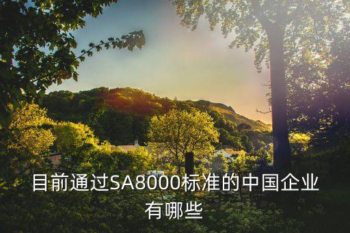 目前通過SA8000標(biāo)準(zhǔn)的中國企業(yè)有哪些