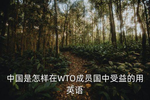 中國(guó)是怎樣在WTO成員國(guó)中受益的用英語(yǔ)
