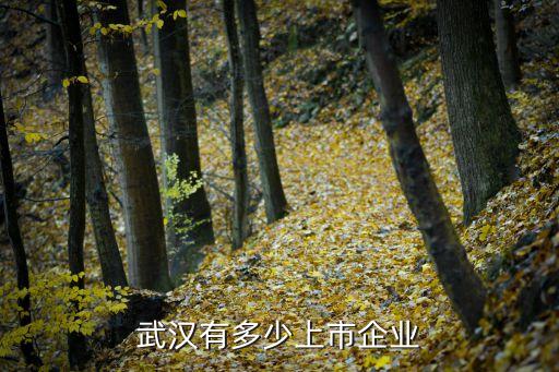 武漢有多少上市企業(yè)