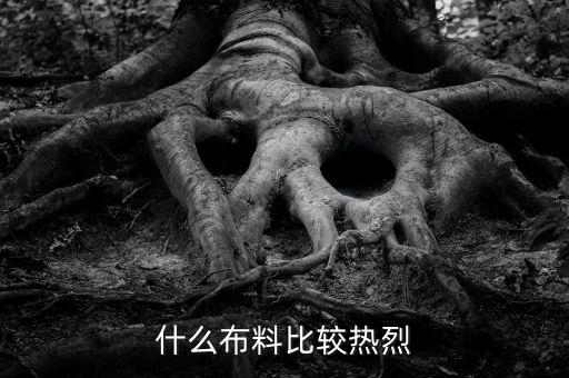 富貴緞彈力斜紋面料,斜紋富貴絨是什么面料
