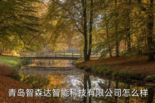  青島智森達智能科技有限公司怎么樣