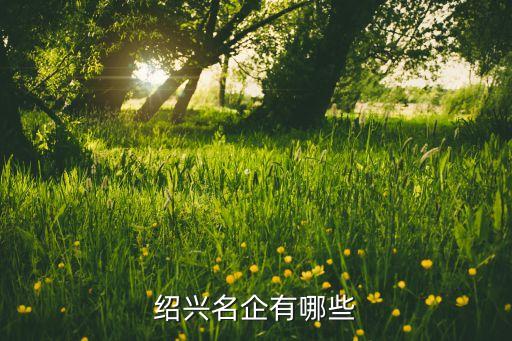 紹興名企有哪些