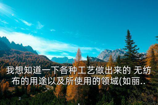 我想知道一下各種工藝做出來的 無紡布的用途以及所使用的領(lǐng)域(如麗...