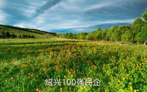 紹興100強(qiáng)民企