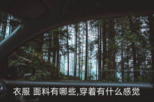 衣服 面料有哪些,穿著有什么感覺