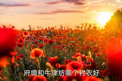  府綢和牛津紡哪個(gè)襯衣好