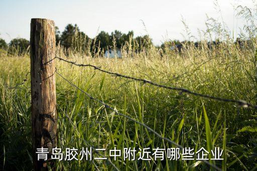 青島紡織機(jī)械有限公司邵明東,青島金利華紡織機(jī)械有限公司